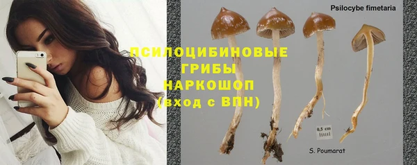 MDMA Premium VHQ Ладушкин